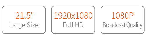 P215-9DSW 1080P 1920x1080